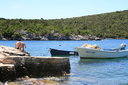 gal/cro 08/_thb_small-IMG_5228.JPG